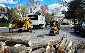 White Oak, PA Tree Services Company